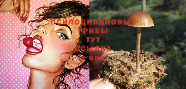 МДМА Кодинск