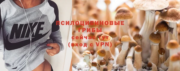 прущая мука Козловка