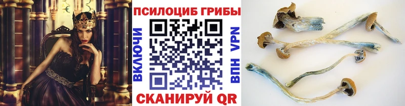 Псилоцибиновые грибы Magic Shrooms  Купить закладки  Западная Двина 