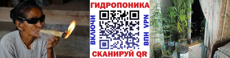 Бошки марихуана Amnesia  Купить где  Западная Двина 